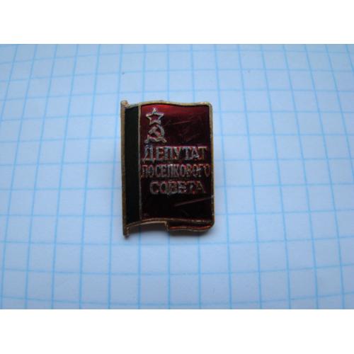 Депутат поселкового совета.