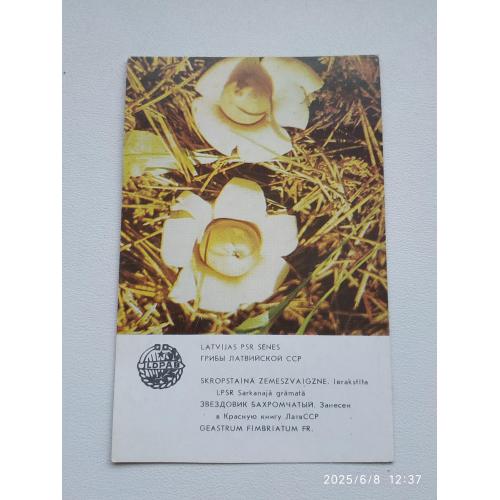 Карманный календарик 1986 г.