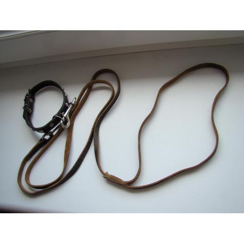 Кожаный ошейник с поводком Collar.