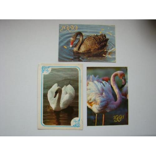Карманные календарики Фауна птицы лебеди и фламинго 3 шт. 1987, 1989, 1991 гг.