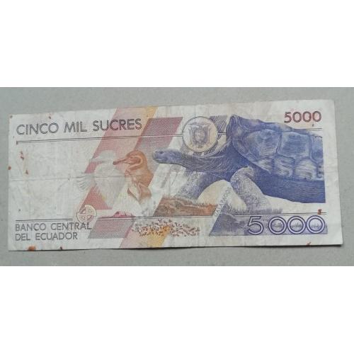  Эквадор   Еквадор    5000 1996 