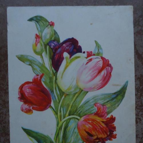 ОТКРЫТКА - Цветы=Тюльпаны  1956 -ВИНТАЖ!!!