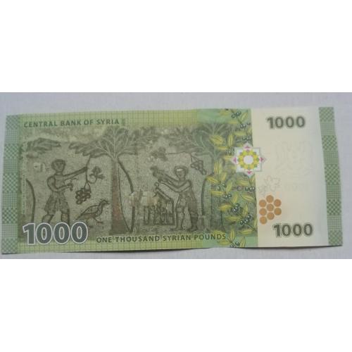 Сирия 1000 фунтов 2013    UNC