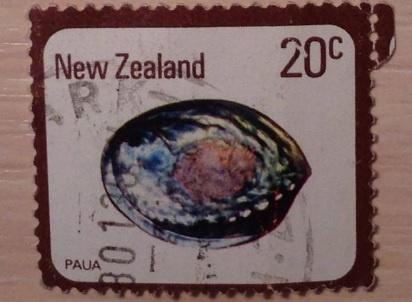Марка Раковина 1978.. Новая Зеландия. 