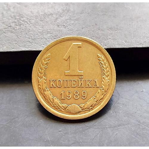 MN СРСР 1 копійка 1989 р. _2