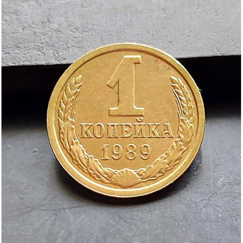 MN СРСР 1 копійка 1989 р.