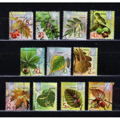 YY 2012 - 2015 рр. 8-й стандарт, гашена