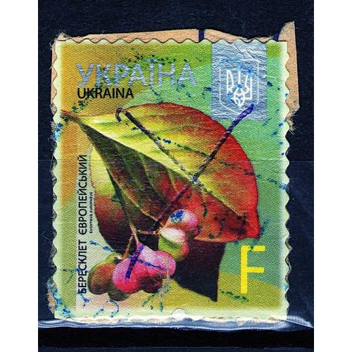 YY Самоклеюча марка 2015 р. 8-й стандарт Бересклет Європейський Номiнал F, мікрошрифт 2015, гашена