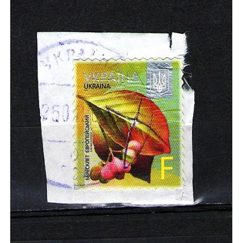 YY Самоклеюча марка 2015 р. 8-й стандарт Бересклет Європейський Номiнал F, мікрошрифт 2015, гашена