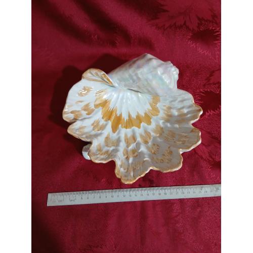 Ваза-Ракушка СССР.