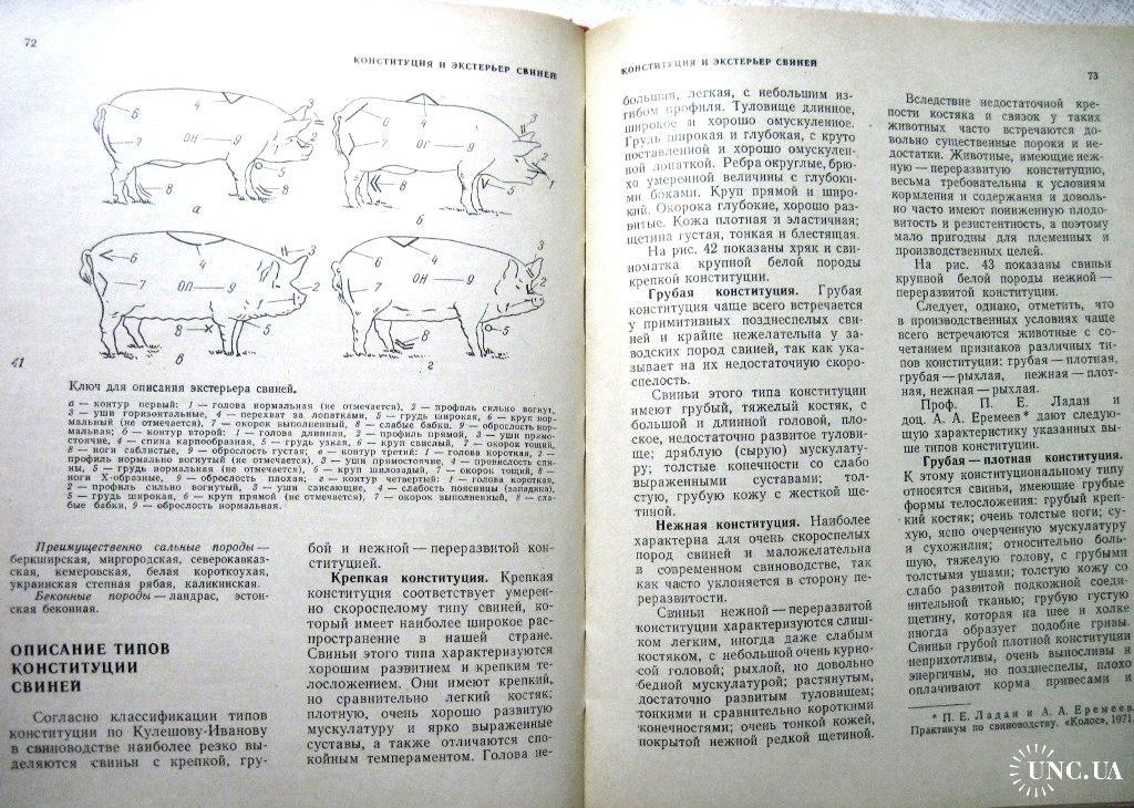 Конституция и экстерьер сельскохозяйственных животных/ Уколов П.И., Шараськина О.Г., Чижик И.А.