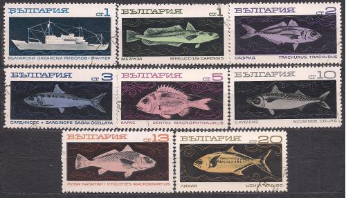 Богрия, 1969 г., фауна, морские рыбы