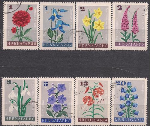 Болгария, 1966 г., флора, полевые цветы