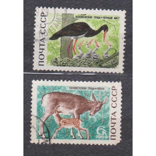 БЕЛОВЕЖСКАЯ ПУЩА = СССР - СРСР = 1969 р. = гаш. \\