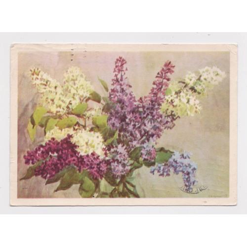 БУЗОК - СИРЕНЬ = ДМПК 1960 р. = КУПЕЦИО = п/п  = ШТАМП переоцінки \\
