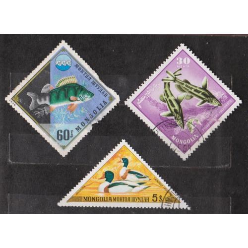 ФАУНА    = марки 1965, 1973, 1974 р. = МОНГОЛІЯ = гаш.  \\