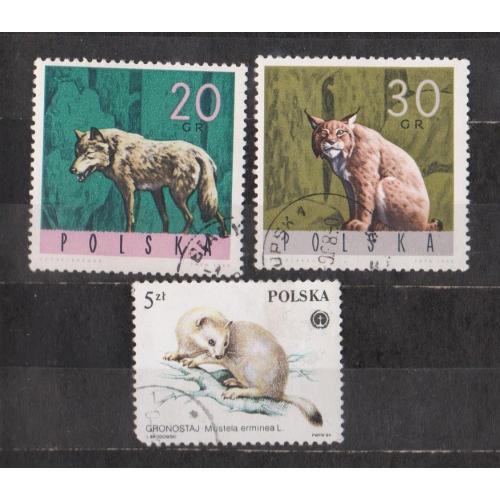 ФАУНА    = марки 1965, 1984 р. = ПОЛЬЩА = гаш.  \\