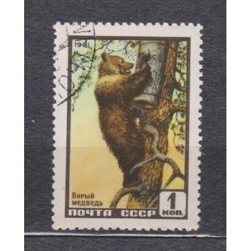 ФАУНА = СССР - СРСР = 1961 р. = гаш. \\
