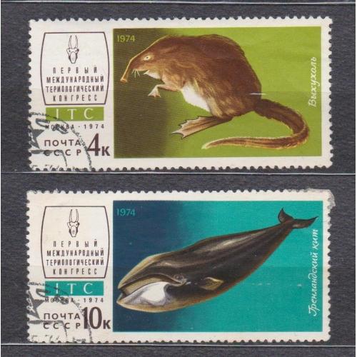 ФАУНА - ТЕРИОЛОГИЧЕСКИЙ КОНГРЕСС = СССР - СРСР = 1974 р. = гаш. \\