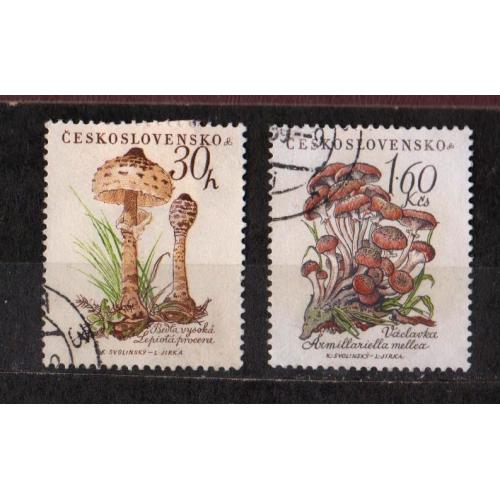 ГРИБИ  = 1958 р. = ЧЕХОСЛОВАЧЧИНА = гаш. \\