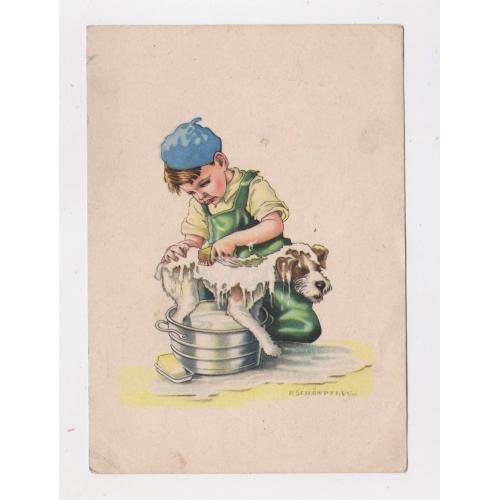 Хлопчик купає свого собаку = листівка 1946 р = худ. Фріц Шенпфлюг = НІМЕЧЧИНА = п/п = тир. 20 тис \\