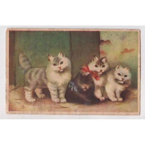КОШКИ = КОТ = до 1940 г. = иностранная открытка = п/п