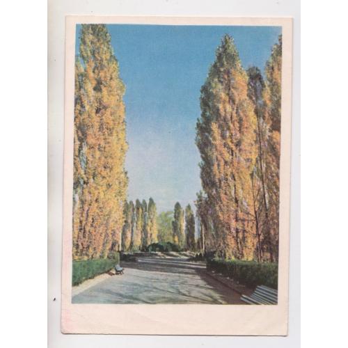 МАЛЬОВНИЧА УКРАЇНА - В ОСІННЬОМУ ВБРАННІ = листівка 1962 р. = ЛУКАШ = чиста \\
