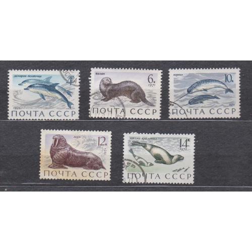 МОРСКИЕ МЛЕКОПИТАЮЩИЕ = СССР - СРСР = 1971 р. = гаш. \\