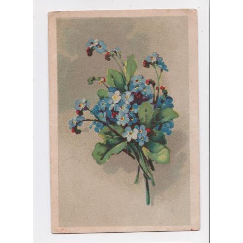 Незабудки - квіти = листівка 1940-х р. = ЛАТВІЯ = п/п = тираж 25 тис. \\