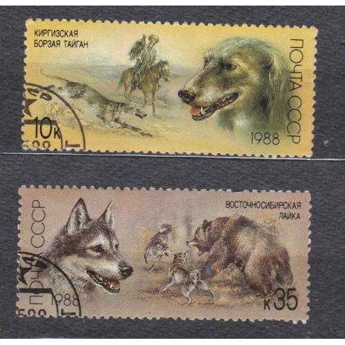 ОХОТНИЧЬИ СОБАКИ = СССР - СРСР = 1988 р. = гаш. \\