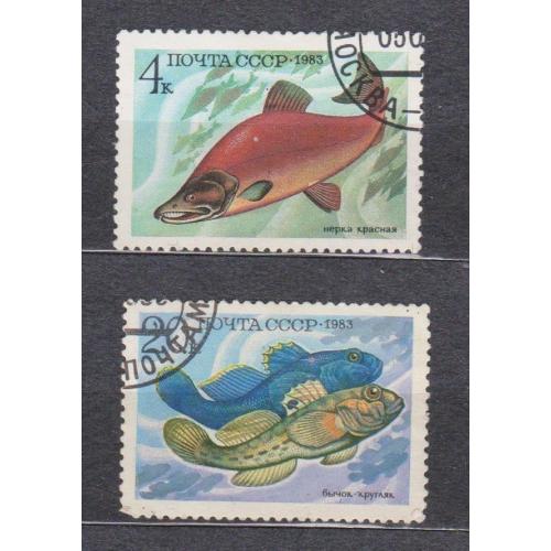 ПРОМЫСЛОВЫЕ РЫБЫ = СССР - СРСР = 1983 р. = гаш. \\