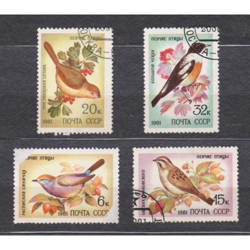 ПТАХИ - ПЕВЧИЕ ПТИЦЫ = 1981 р. = СССР - СРСР = гаш. \\