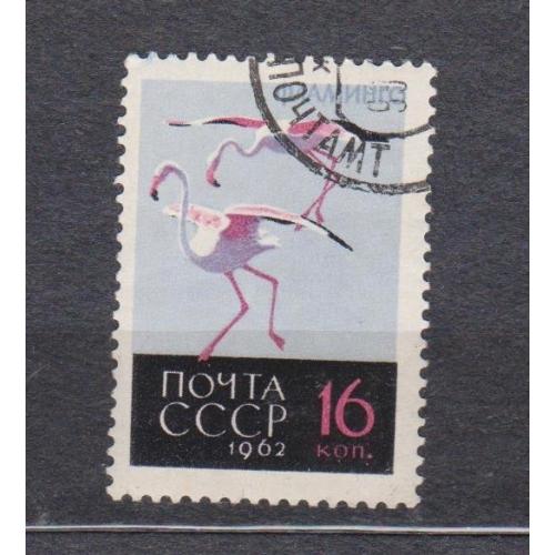 ПТАХИ - ПТИЦЫ = 1962 р. = СССР - СРСР = гаш. \\