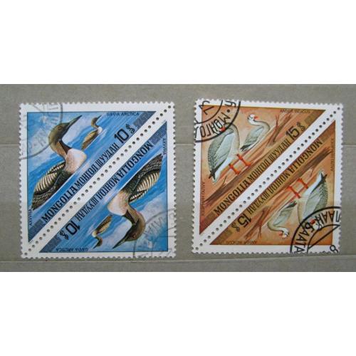ПТИЦЫ - ФАУНА   = 1973 г. = МОНГОЛИЯ =  тет-беш - гаш. 