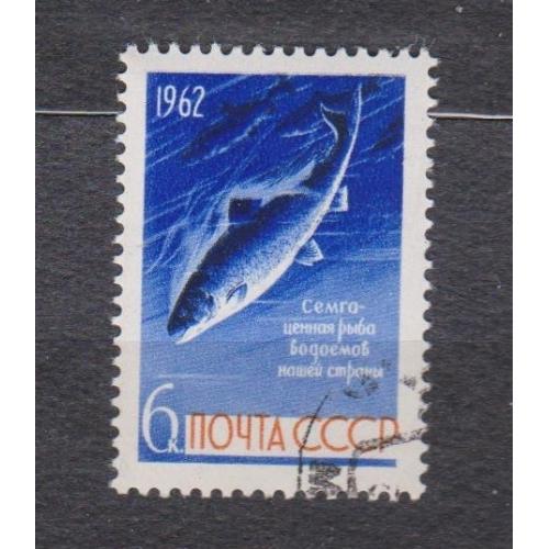 РИБИ - РЫБЫ = СССР - СРСР = 1962 р. = гаш. \\