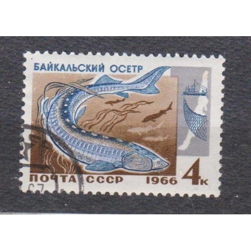 РЫБЫ БАЙКАЛА = 1966 р. = СССР - СРСР = гаш. \\