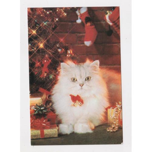 С НОВЫМ ГОДОМ  = КОТИК = листівка поч. 1990-х р. = ТИРАСПОЛЬ - ЗАВОД = чиста = тираж 5 тис. \\