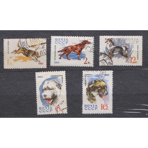 СОБАКИ = СССР - СРСР = 1965 р. = гаш. \\