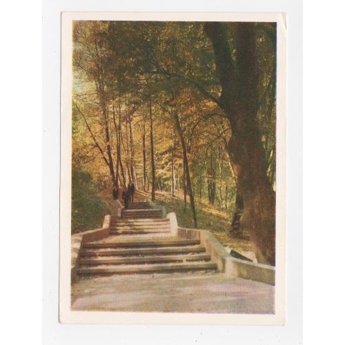 ТРУСКАВЕЦЬ - АЛЕЯ У ПАРКУ = листівка 1958 р. = БАКМАН = п/п  = тираж 50 тис. \\