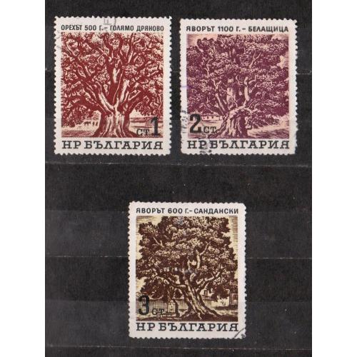 Вікові дерева = БОЛГАРІЯ = 1964 р. = гаш. \\