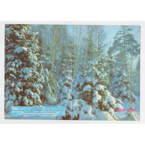 З НОВИМ РОКОМ - С НОВЫМ ГОДОМ = із сувенірного набору 1988 р. = КОСТЕНКО = чиста \\