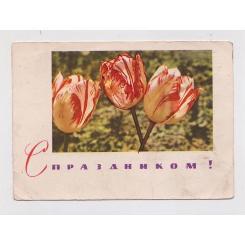 ЗІ СВЯТОМ - С ПРАЗДНИКОМ  = ДМПК 1965 р. = ЗАИКИН = п/п \\