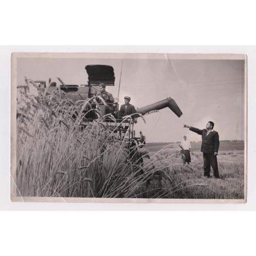 ЗБІР ВРОЖАЮ - 1965 р. = Радгосп ім. ЩОРСА Хмельницька обл. \\