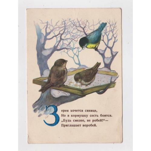 ЗЕРЕН ХОЧЕТСЯ СИНИЦЕ... = листівка 1958 р. = ДУДНИКОВ = чиста = тираж 500 тис. \\