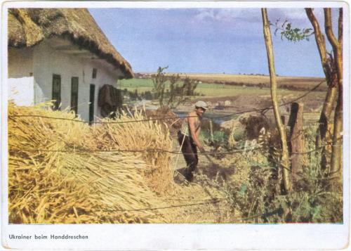 Украина типы и виды 1942 год Издание Немецкого Рейха Вторая мировая война Сельская хата Пропаганда