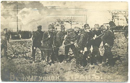 Вот будет урок стране Пашня Плуг Гражданская война Фото Открытка Почта 1921 год В.В. Дружинин Москва