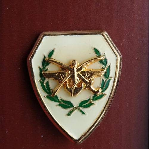 Знак Военного училища Сирийской Арабской Республики Сирия Badge of the Military School of the Syrian
