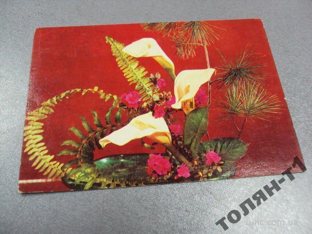 открытка цветы минченко 1975 №15641