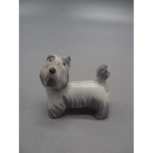 Фигура фарфор миниатюра Германия корона MO собака терьер собачка щенок размер 4,3х4,7 см №14038