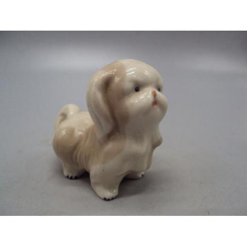 Фигура фарфор статуэтка миниатюра собака пикинес щенок собачка высота 7 см №29